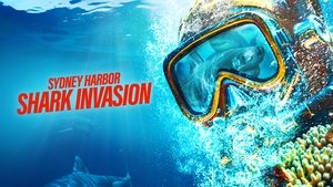 Sydney Harbor Shark Invasion | StreamHub