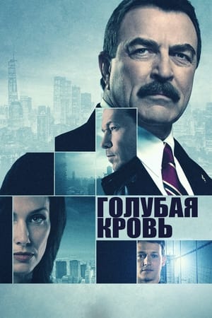 Poster Голубая кровь Сезон 5 2014