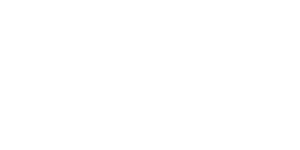 Heim — Logos 2