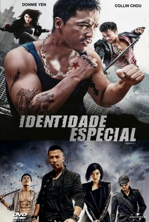 Poster Identidade Especial 2013