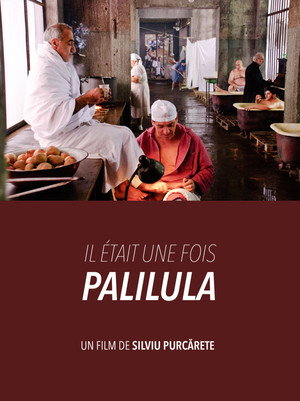 Somewhere in Palilula