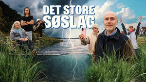 Det store søslag