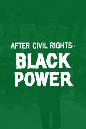 Image After Civil Rights... Black Power