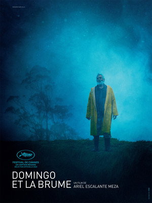 Domingo and the Mist 8