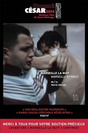 Poster Marseille la nuit 2012