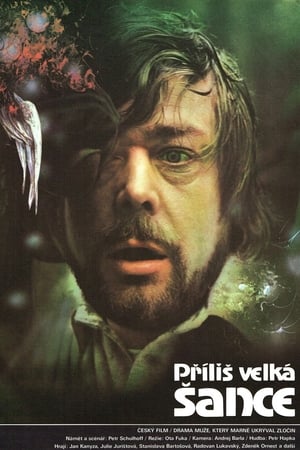 Poster Příliš velká šance (1985)