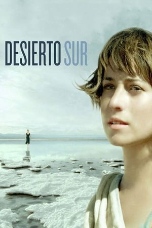 Poster Desierto Sur 2008
