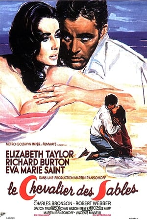 Poster Le Chevalier des sables 1965