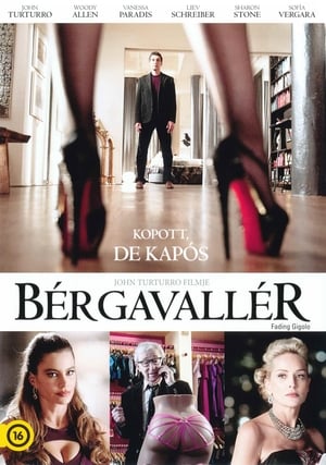 Bérgavallér