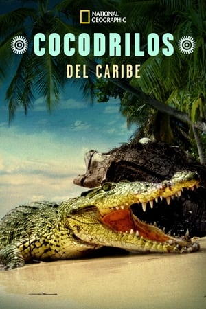 Image Life and Death in Paradise: Crocs of the Caribbean