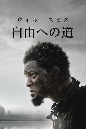 自由への道 (2022)