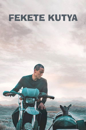 Image Fekete kutya