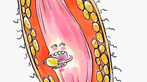 Wer nicht fragt, stirbt dumm!: 1×25