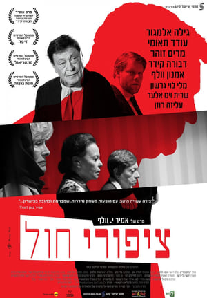 Poster ציפורי חול 2015