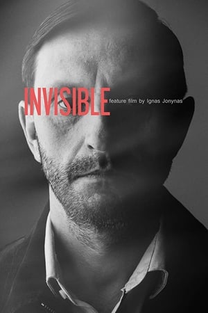 Poster Invisible 2019