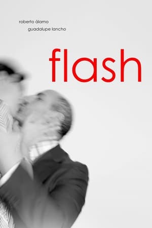 Image Flash