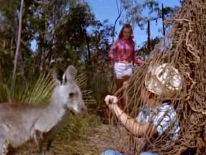 Skippy the Bush Kangaroo The Honeymooners