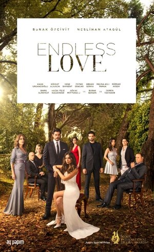 Endless Love poster