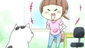 Inu to Neko Docchi mo Katteru to Mainichi Tanoshii: 1×15