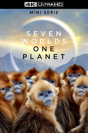 Poster Seven Worlds, One Planet 2019