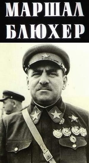 Poster Marshal Blucher: Portret na fone epohi 1988