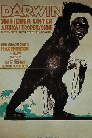 Poster Darwin - Die Abstammung des Menschen vom Affen 1920