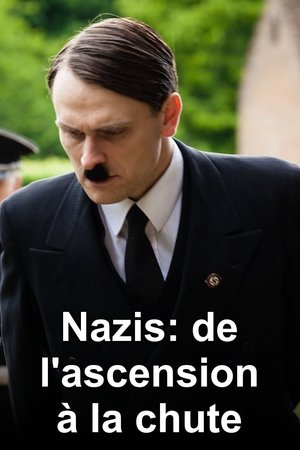 Image Nazis : de l'ascension à la chute