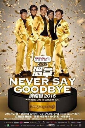 Poster Never Say Goodbye - The Wynners Live In Concert 2016 2016