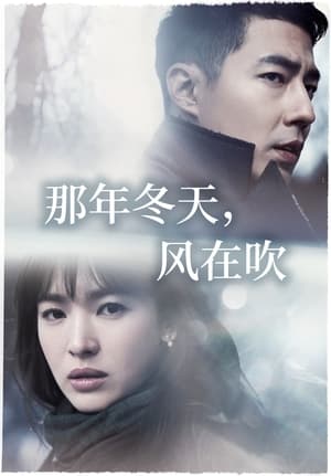 Poster 那年冬天，风在吹 2013