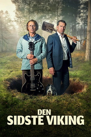 poster The Last Viking