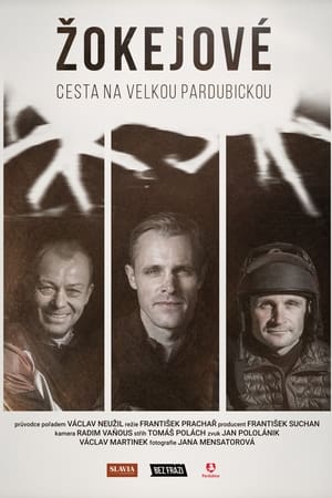 Poster Žokejové – Cesta na Velkou pardubickou (2020)