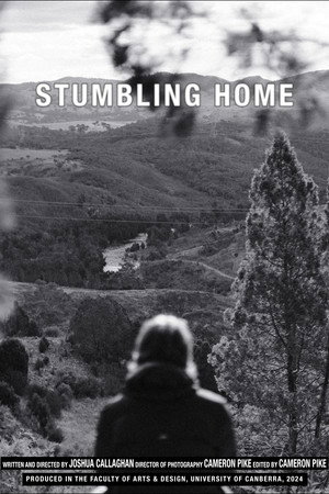 Stumbling Home 8