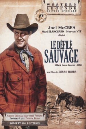 Image Le Défilé Sauvage