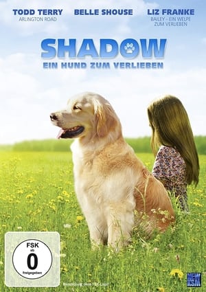 Image Shadow - Ein Hund zum Verlieben