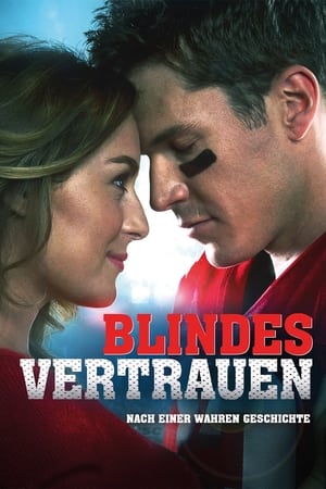 Blindes Vertrauen 2014