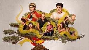 Cobra Kai Season 1 + 2 + 3 + 4 + 5