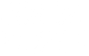 Junior Bonner