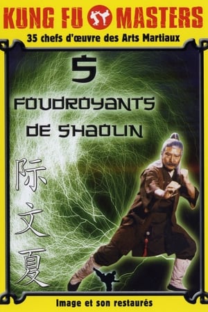 Poster Les 5 Foudroyants de Shaolin 1983