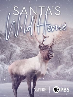 Poster Santa's Wild Home 2020