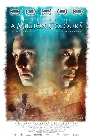 A Million Colours poster