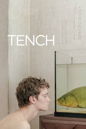 Poster Tench (2020)