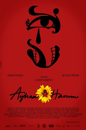 Poster Ayhan Hanım (2014)