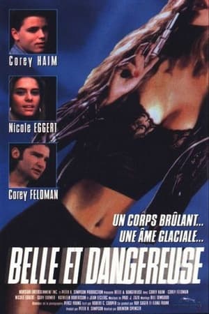 Poster Belle et dangereuse 1993