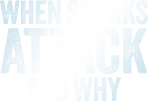 /n47R62YlyvbRxyrWbCuYSTKIOWZ.png