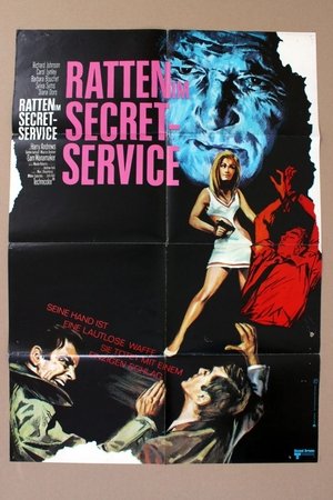 Image Ratten im Secret Service