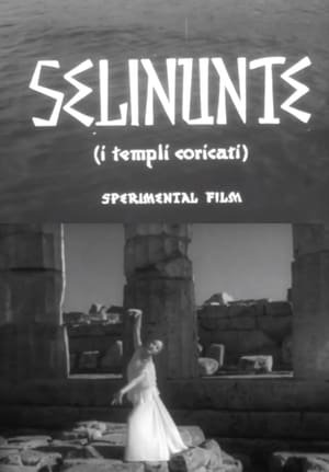 Selinunte, i templi addormentati poster