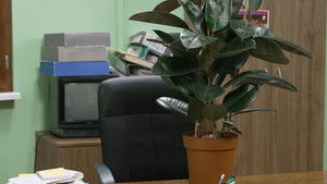 Državni posao Season 12 : Episode 61 