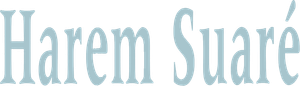 Last Harem — Logos 1