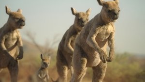 Desert Lands on Prehistoric Planet Season 3 Episode 3 – November 26, 2025