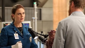 Bones: Stagione 11 – Episodio 19